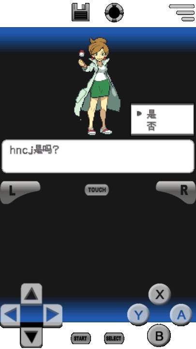 口袋妖怪黑白2先行服
