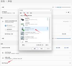 抖音直播伴侣怎么设置画面和声音