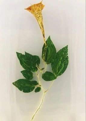 雾海之下全料理食谱有哪些