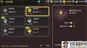 龙之谷启程牧师技能是什么