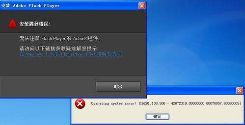 flash插件异常怎么办