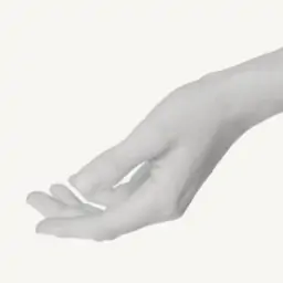 Beggar⁄s存档版