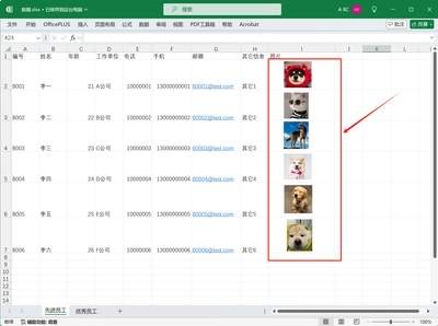 Excel怎么批量删除电子表格中不同的文字