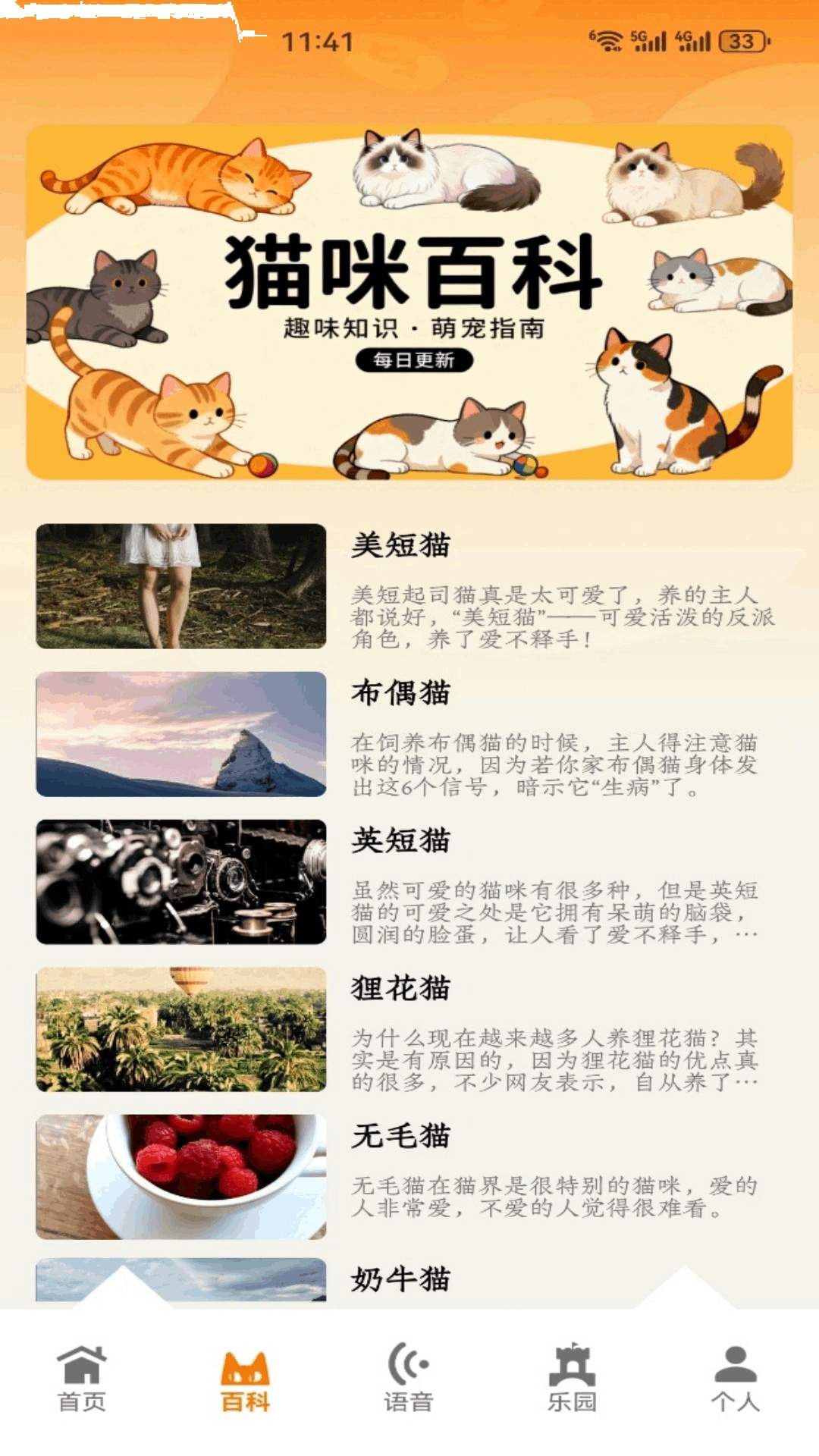 暖暖猫咪无会员