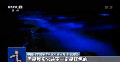 深海迷航2异星水域阿克苏姆壁灯怎么获得