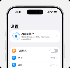 iPhone怎么进入Apple账户设置