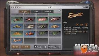 我在园区搜打撤白天怎么速刷资源