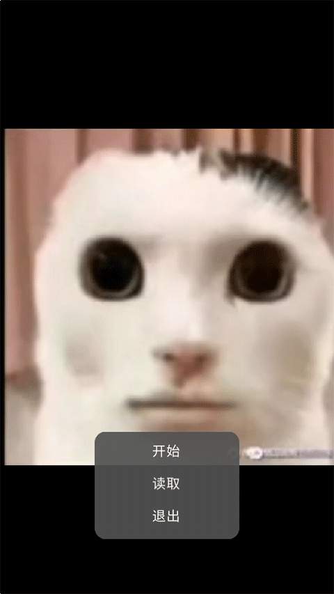 猫猫惊魂移植版