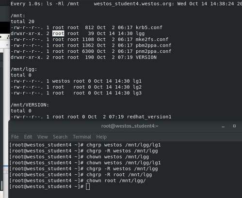 如何在Linux中查看某个用户权限