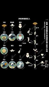 光遇道袍斗篷怎么获取