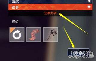 头号禁区明星签名卡是什么
