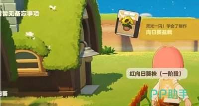 星布谷地怎么抓守宫