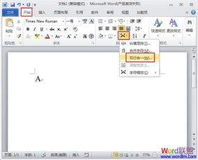 怎么在word2010文档公式中添加数学符号