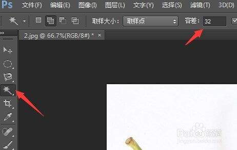 Photoshop魔棒工具抠图怎么使用