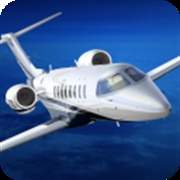 Aerofly中文版