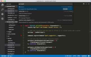 Visual Studio Code如何选择应用程序图标