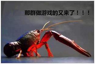 星布谷地鳌龙虾怎么捕捉